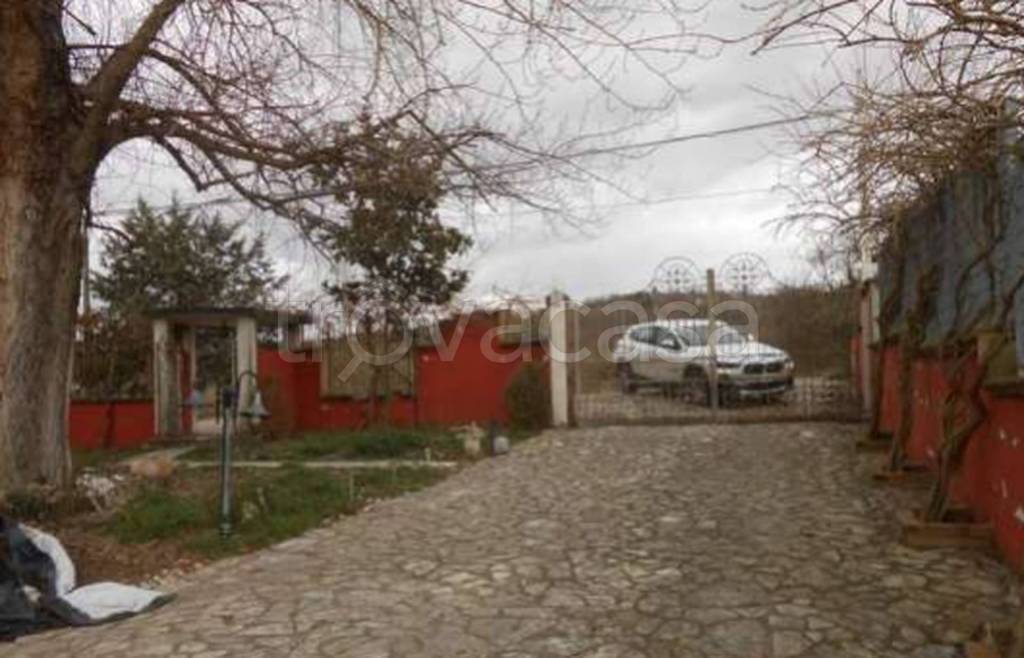 immagine annuncio 11 di 13