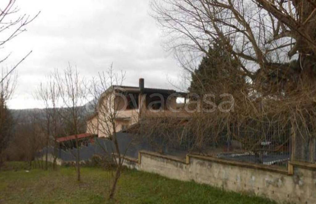 immagine annuncio 12 di 13