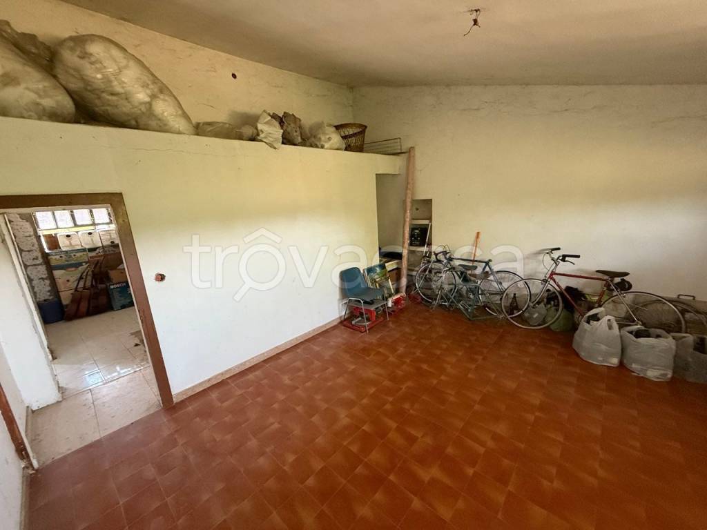 immagine annuncio 8 di 14
