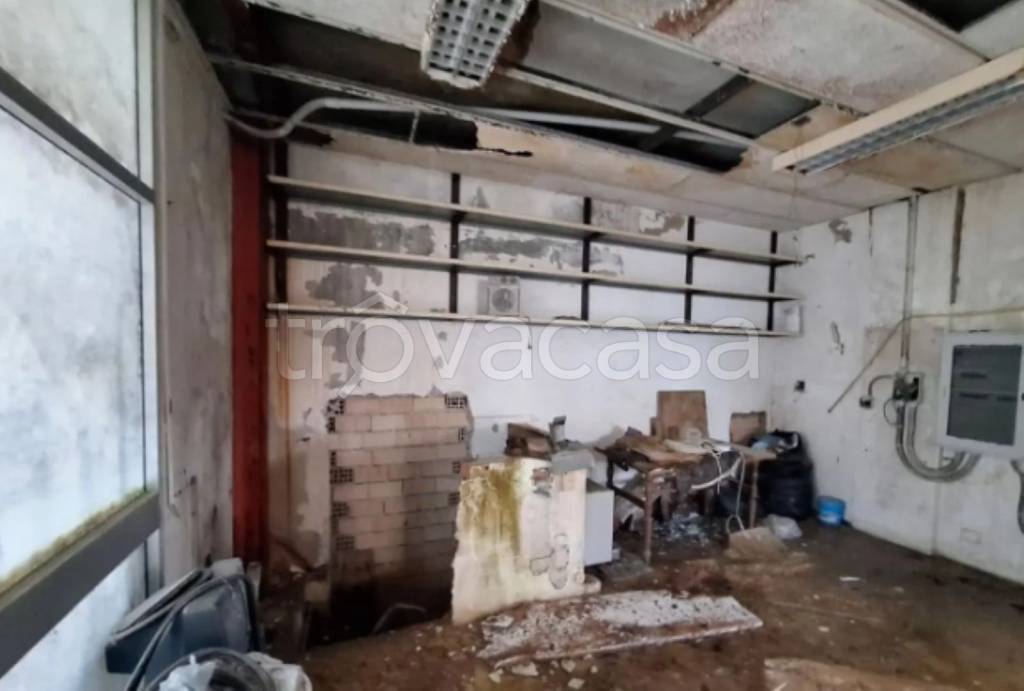 immagine annuncio 5 di 11