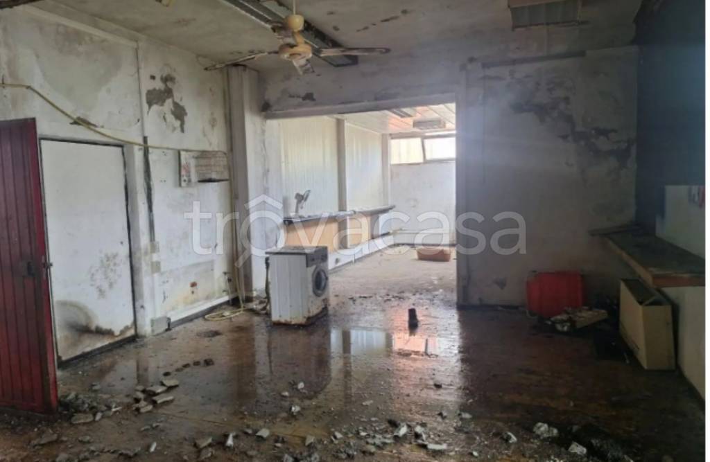 immagine annuncio 6 di 11