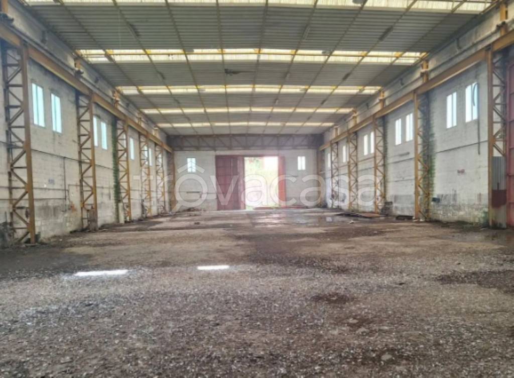 immagine annuncio 7 di 11