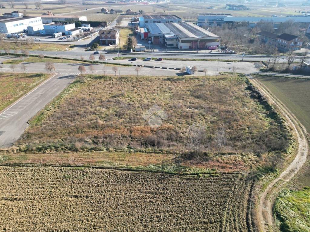 immagine annuncio 1 di 6