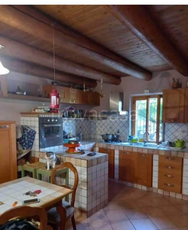 immagine annuncio 11 di 12