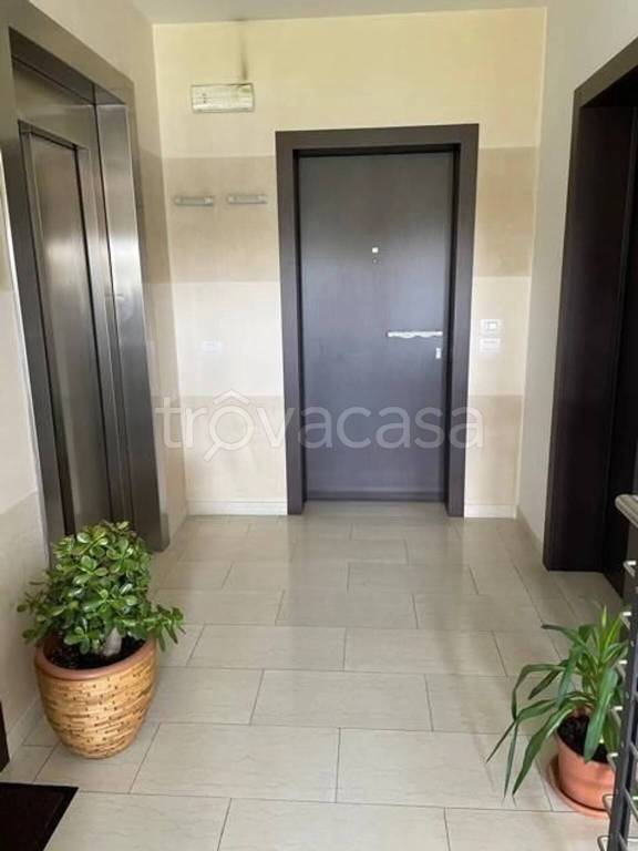 immagine annuncio 7 di 8