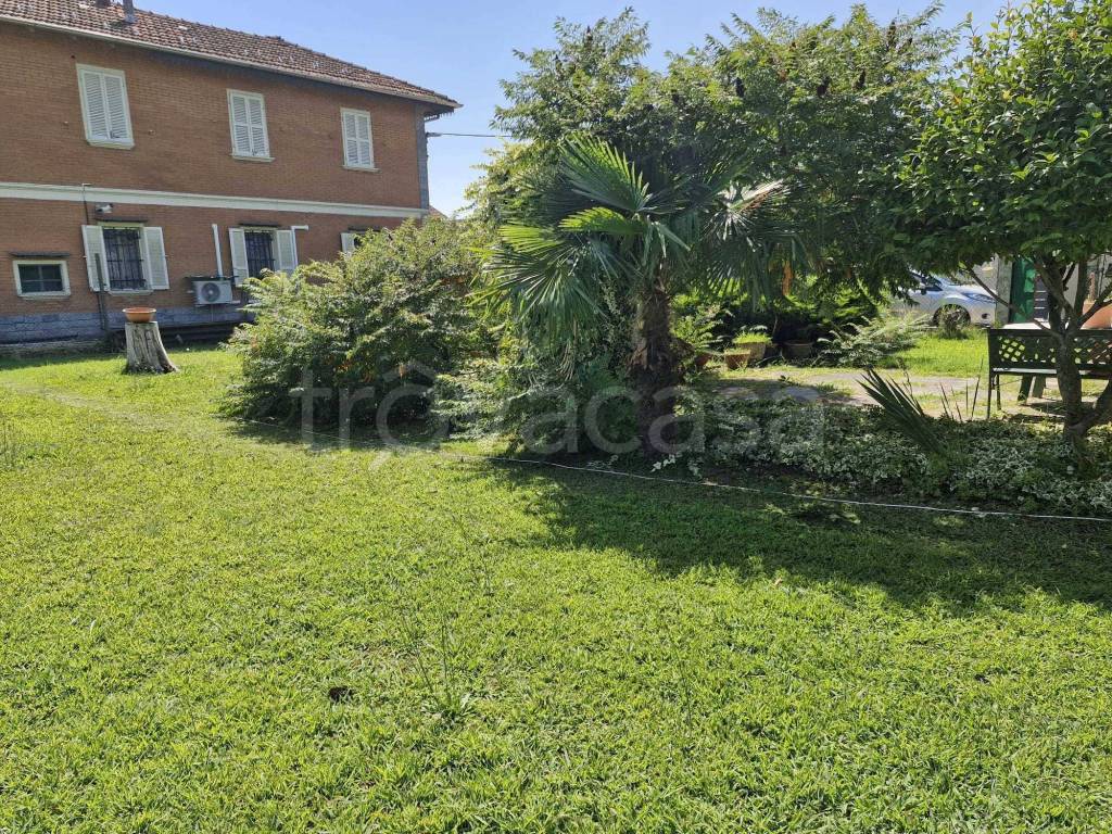 immagine annuncio 10 di 11