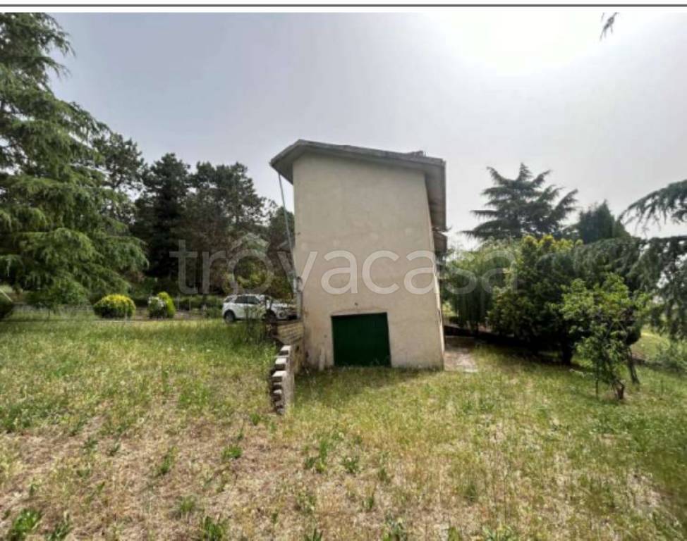 immagine annuncio 5 di 11