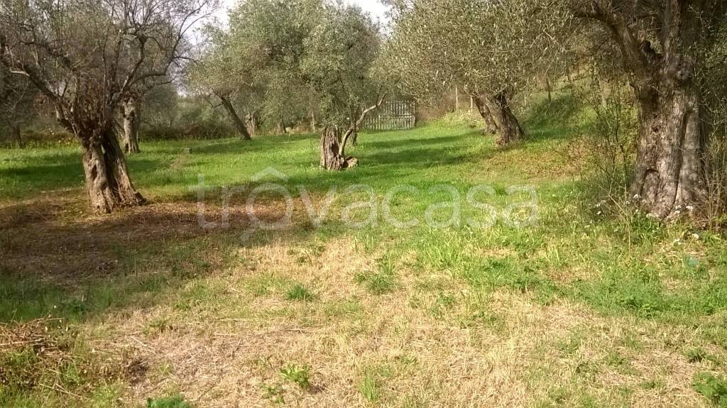 immagine annuncio 1 di 2