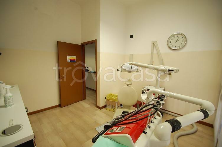 immagine annuncio 5 di 14