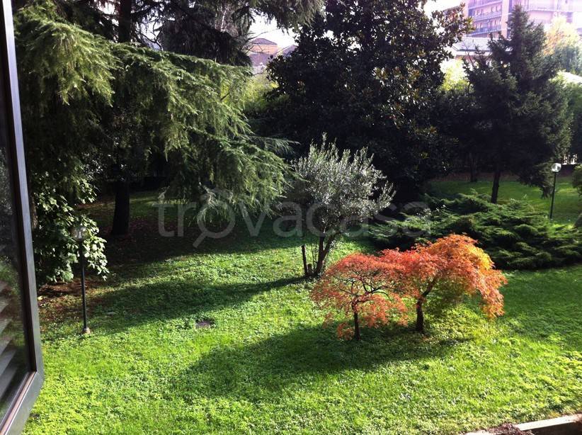 immagine annuncio 8 di 12