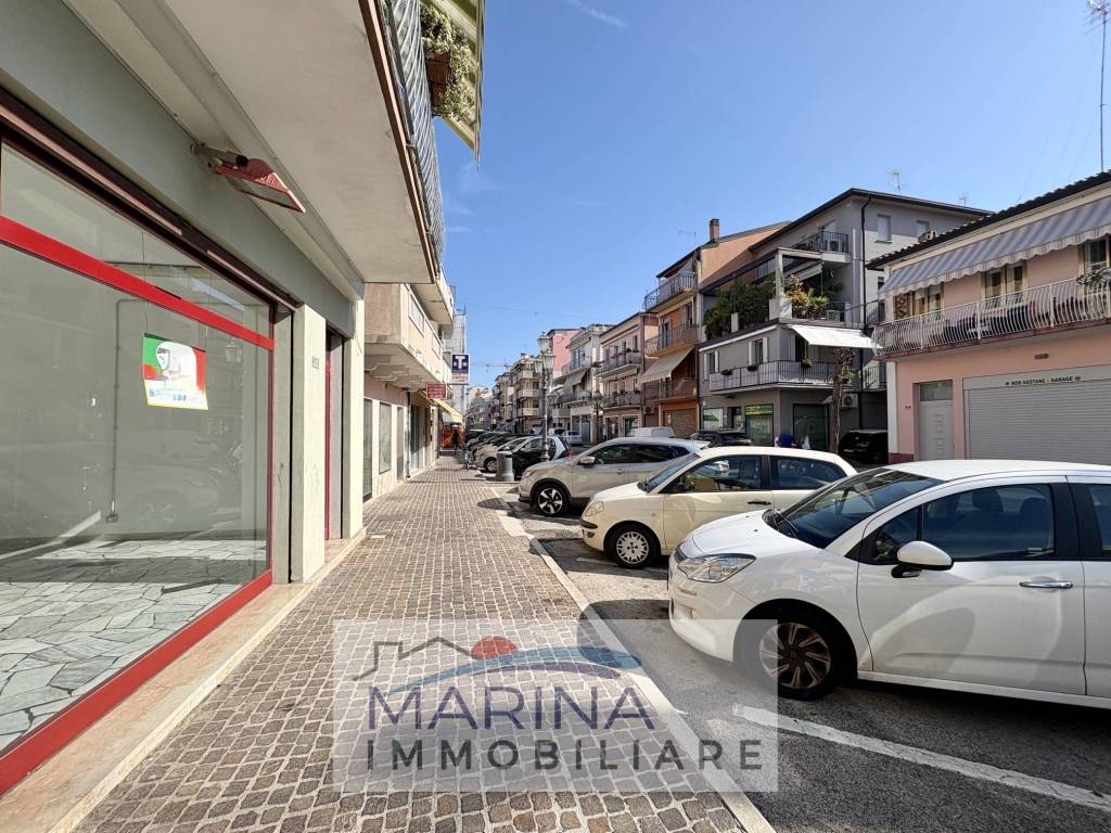 immagine annuncio 12 di 14