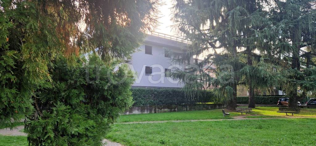 immagine annuncio 2 di 11