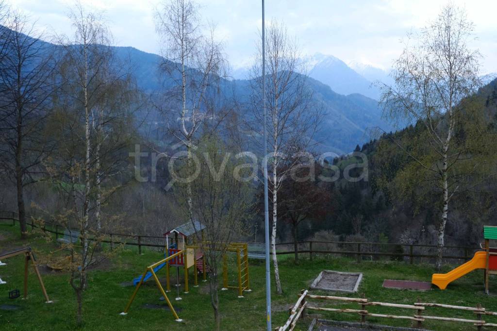 immagine annuncio 13 di 14