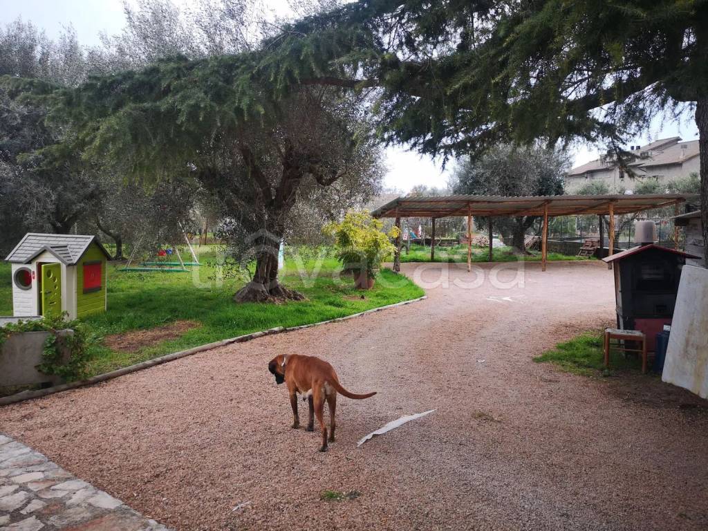 immagine annuncio 1 di 14
