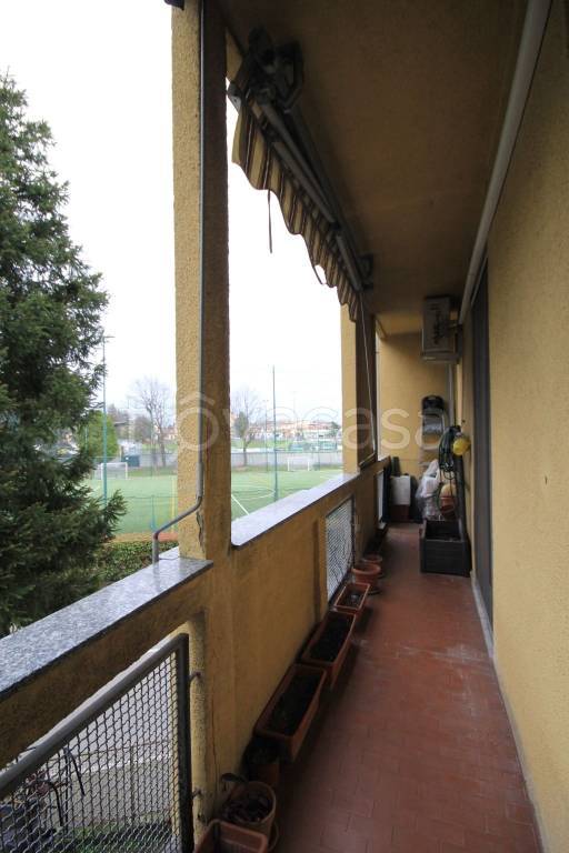immagine annuncio 9 di 12