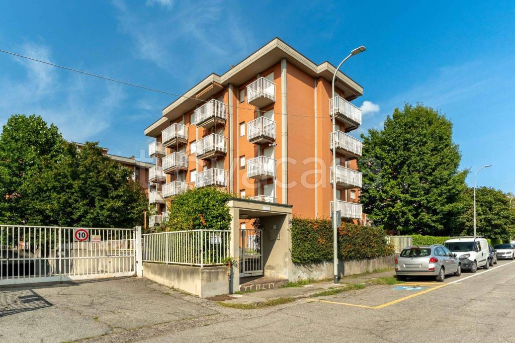 immagine annuncio 1 di 15