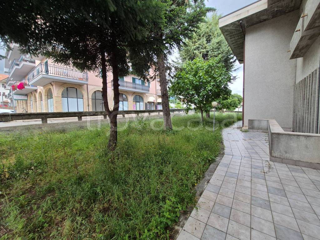 immagine annuncio 6 di 14