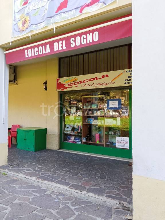 immagine annuncio 4 di 9