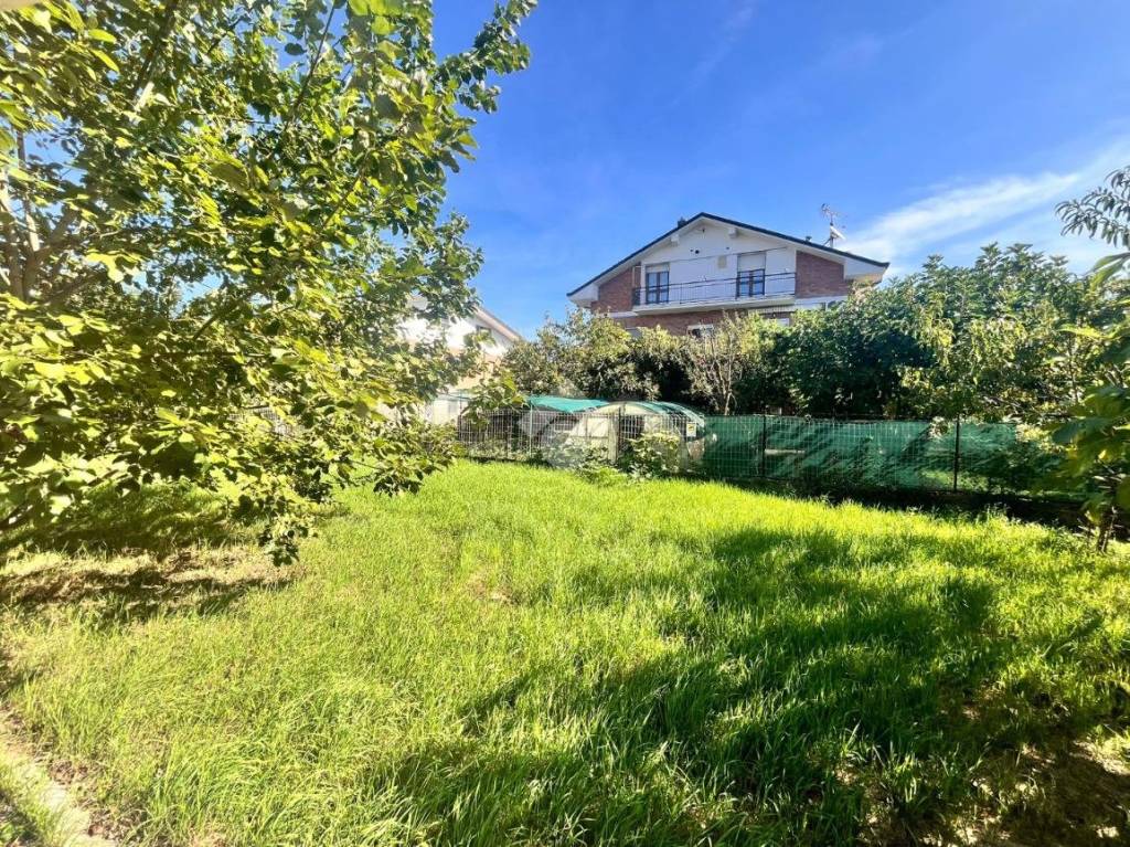 immagine annuncio 6 di 15