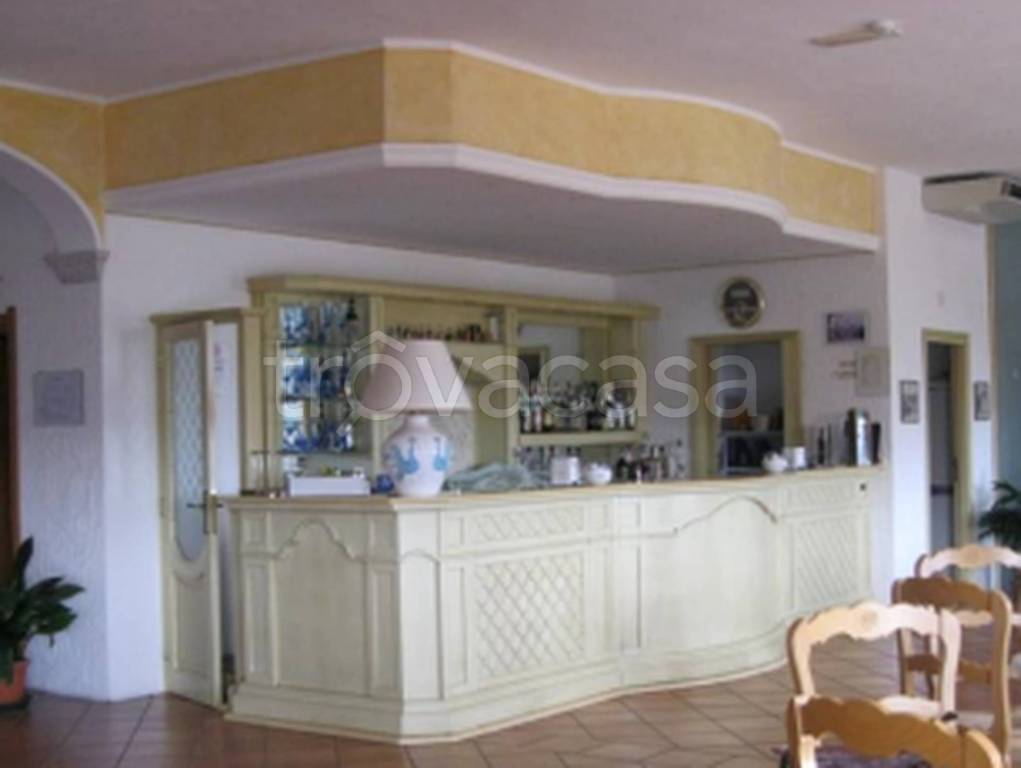 immagine annuncio 9 di 12