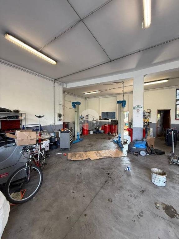 immagine annuncio 1 di 12