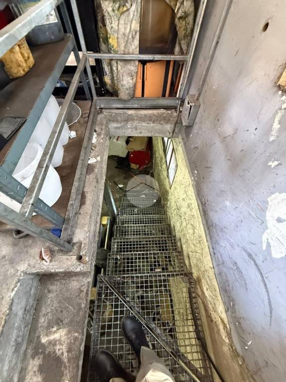 immagine annuncio 2 di 12