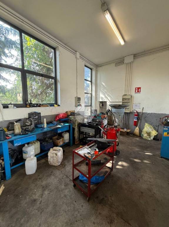 immagine annuncio 6 di 12