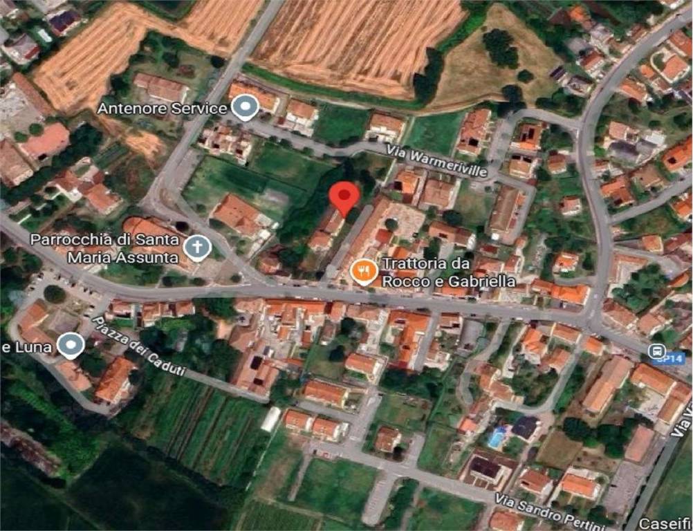 immagine annuncio 13 di 15