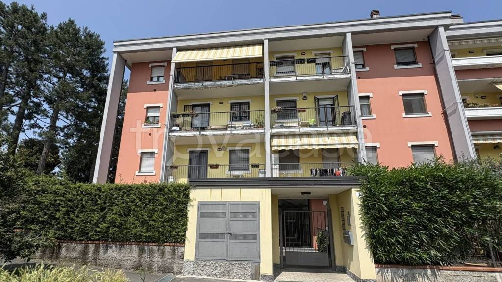 immagine annuncio 1 di 10