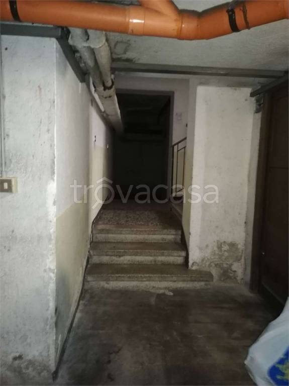 immagine annuncio 5 di 7