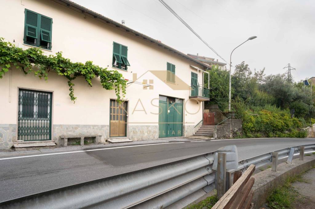 immagine annuncio 2 di 9