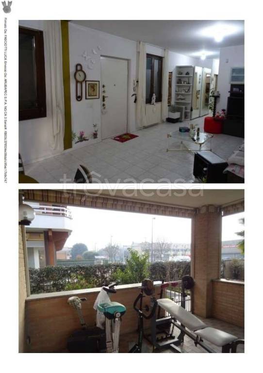 immagine annuncio 7 di 14