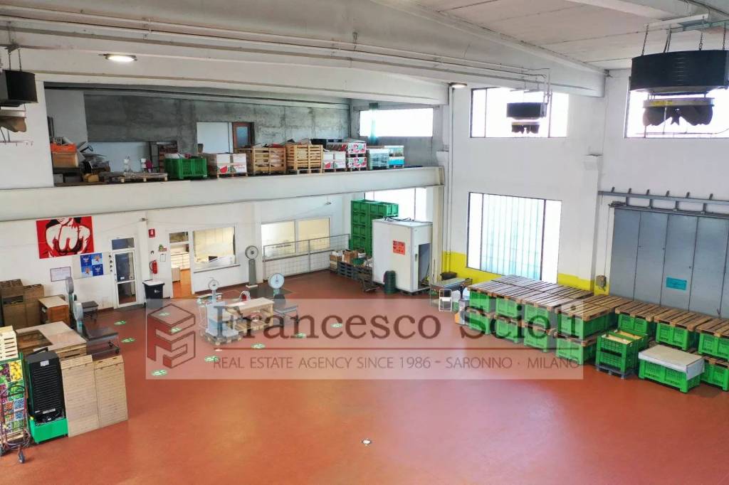 immagine annuncio 5 di 14