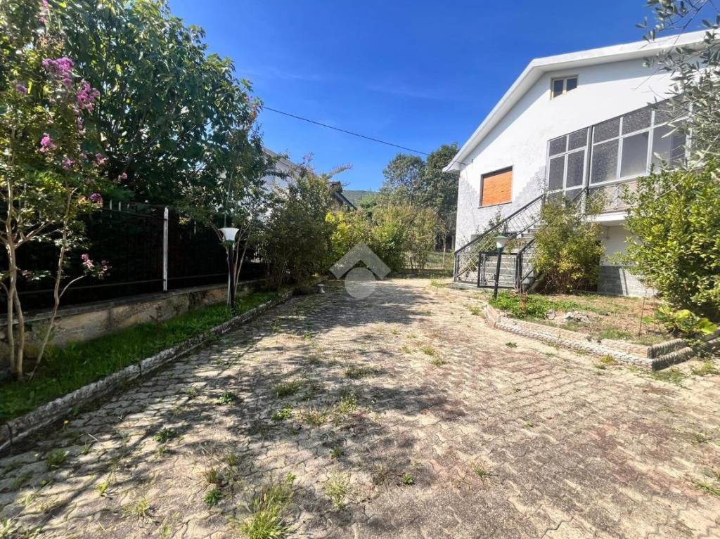 immagine annuncio 2 di 14