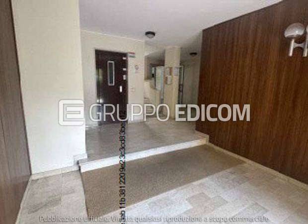 immagine annuncio 5 di 7