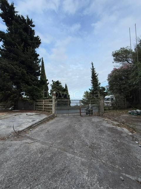 immagine annuncio 5 di 7