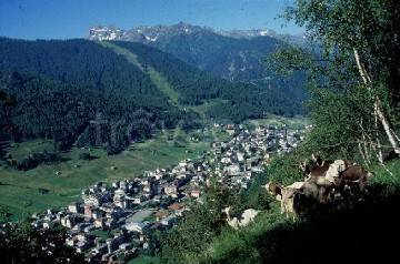 immagine annuncio 9 di 13