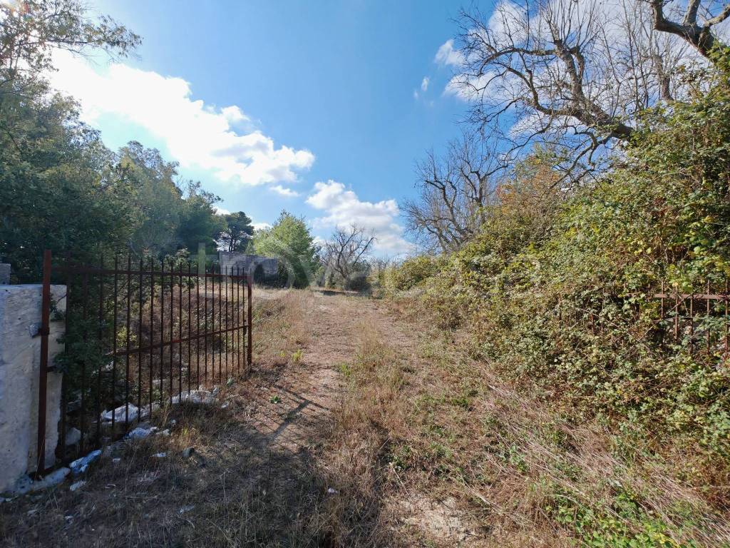 immagine annuncio 2 di 13