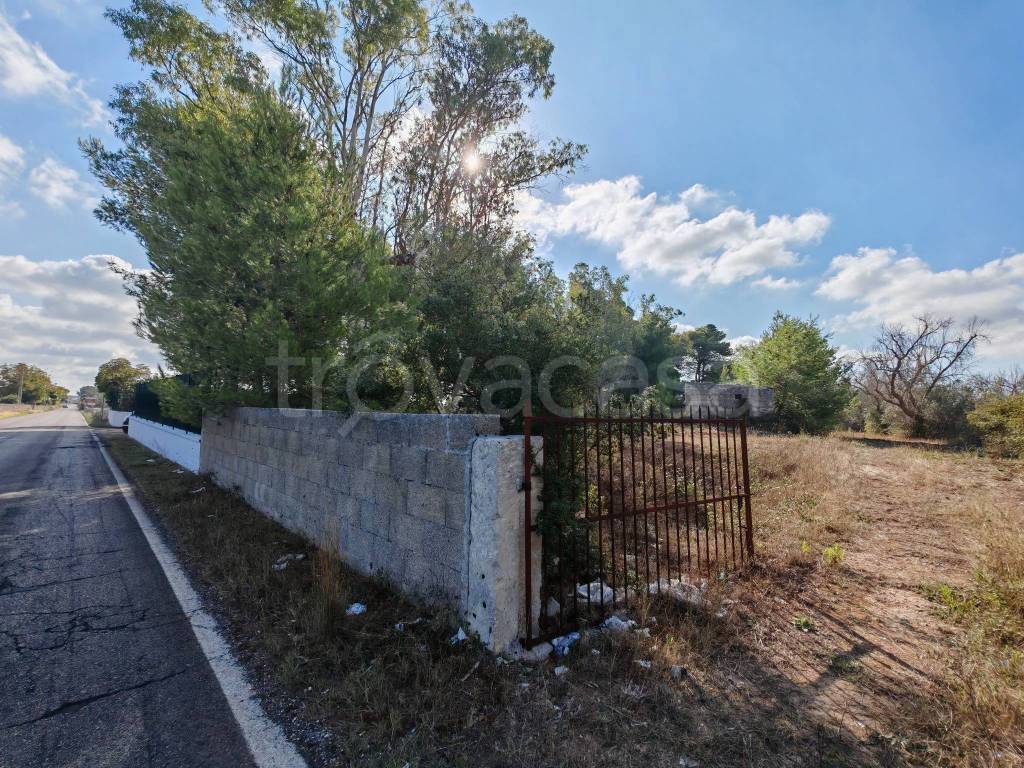 immagine annuncio 3 di 13