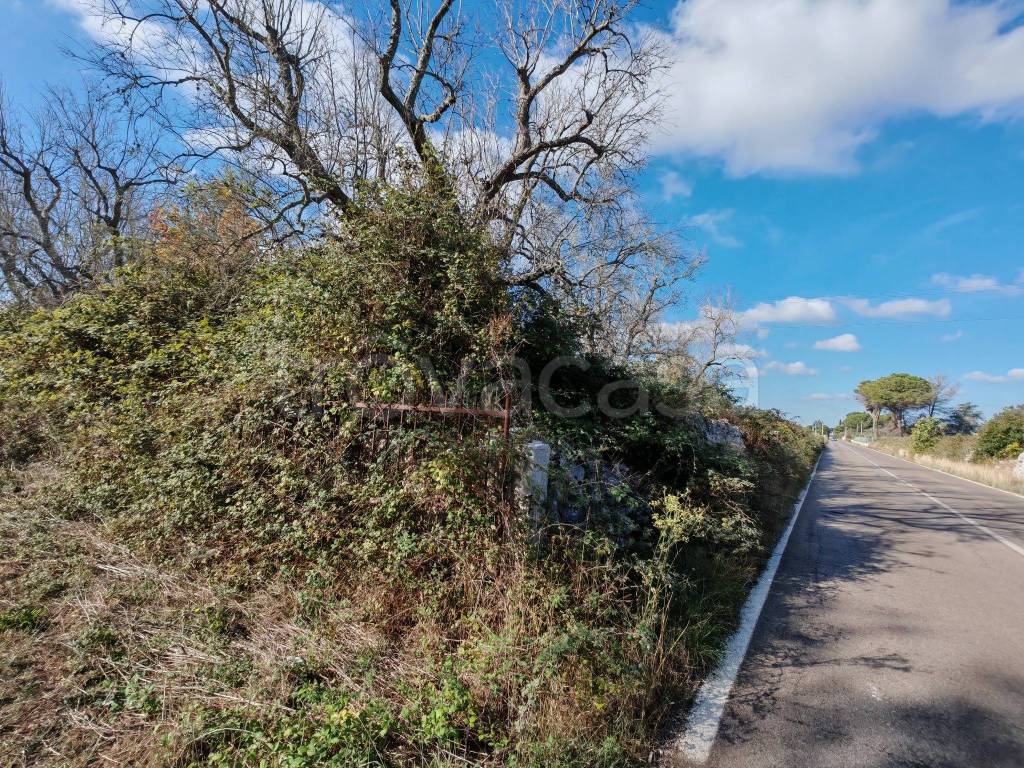 immagine annuncio 4 di 13