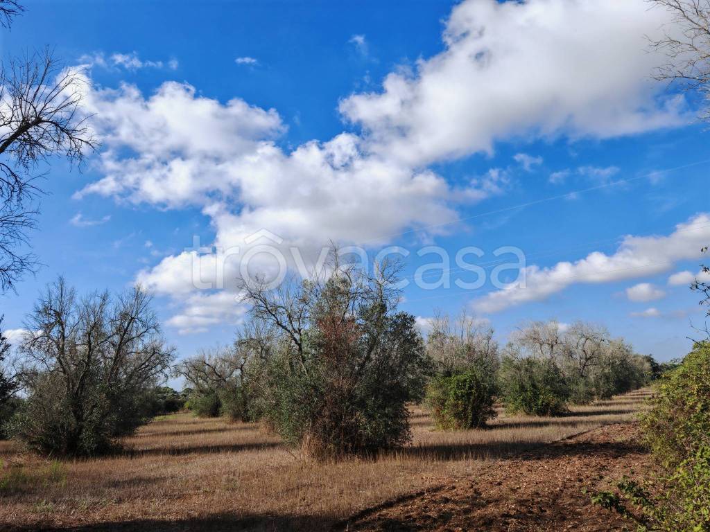 immagine annuncio 9 di 13