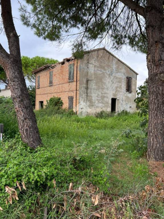 immagine annuncio 7 di 14