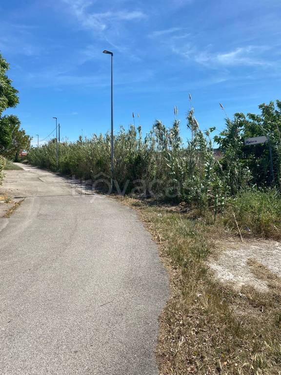 immagine annuncio 6 di 7