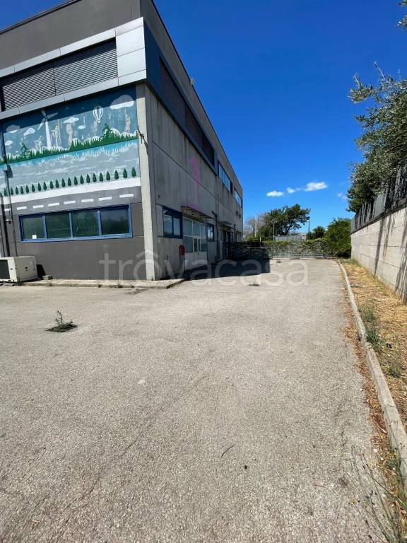 immagine annuncio 1 di 2