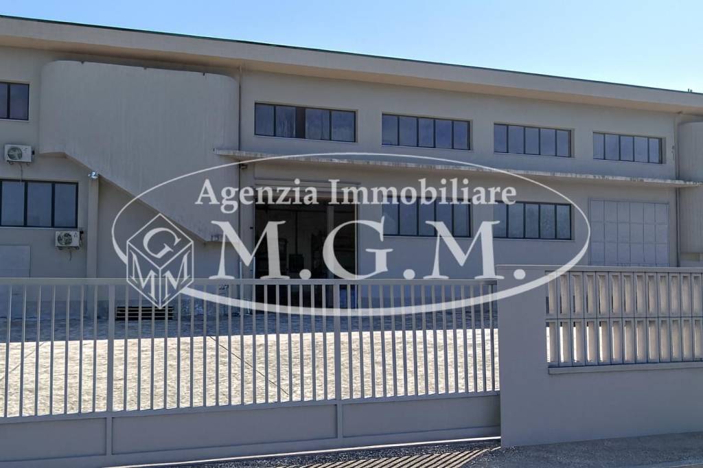 immagine annuncio 1 di 2
