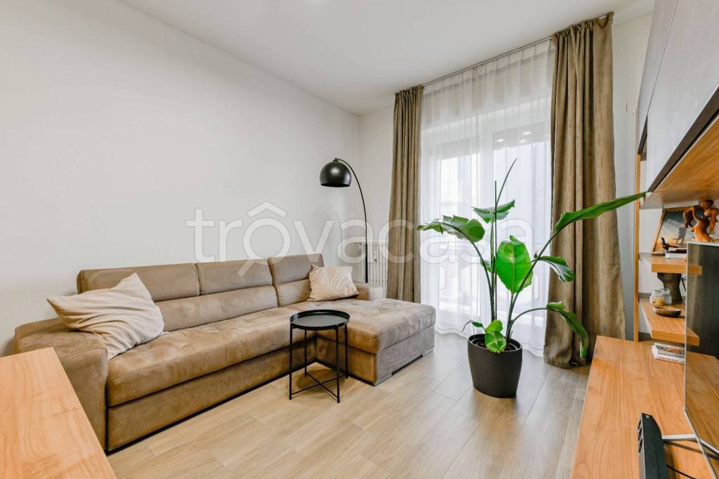 immagine annuncio 3 di 12