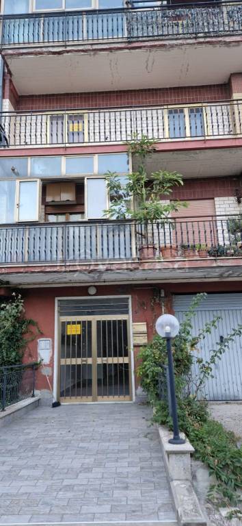 immagine annuncio 2 di 8