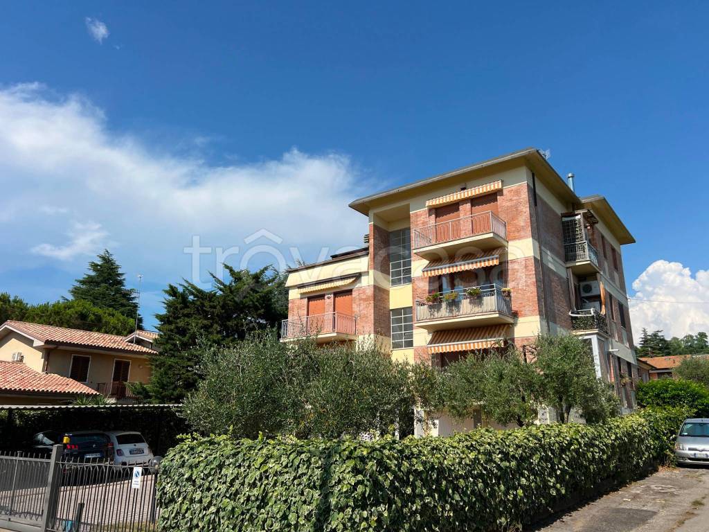 immagine annuncio 13 di 14