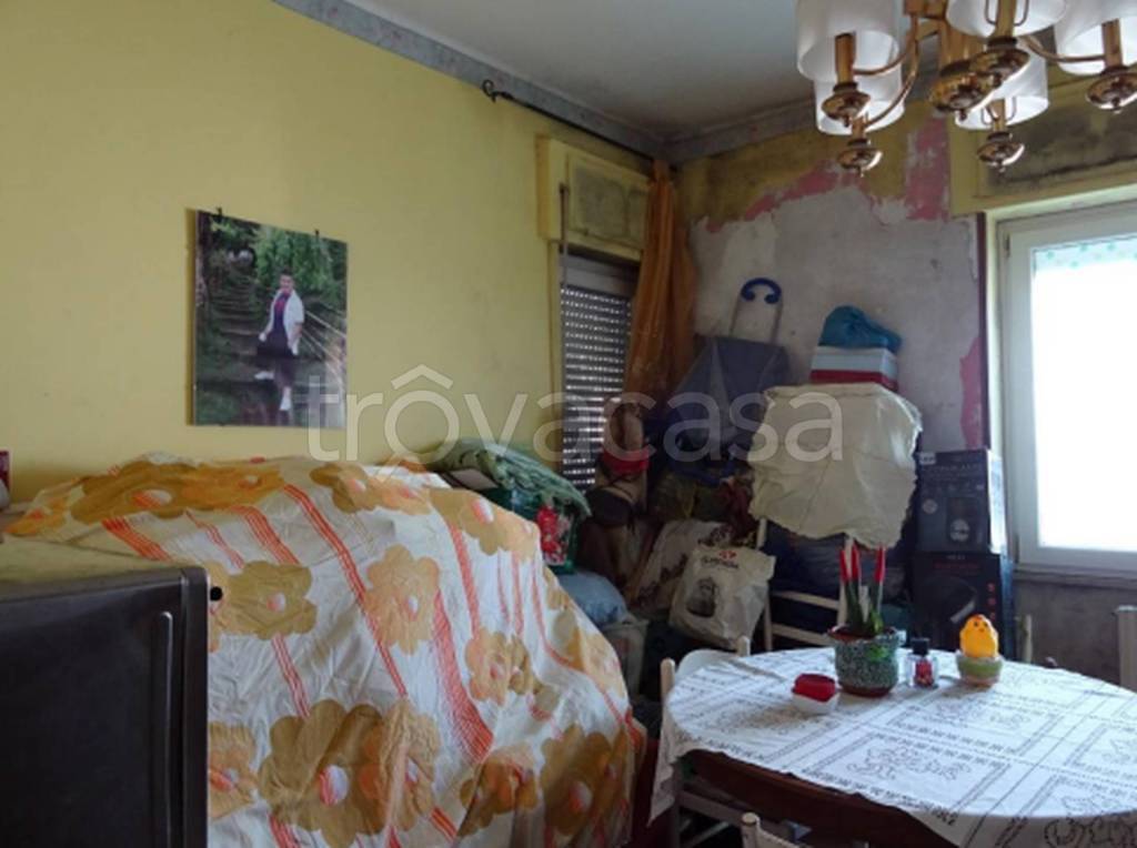 immagine annuncio 4 di 11