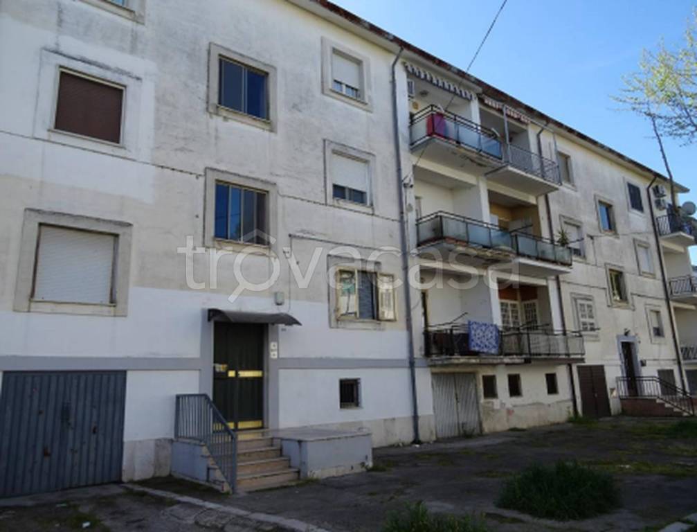 immagine annuncio 10 di 11